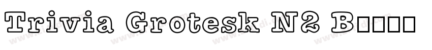 Trivia Grotesk N2 B字体转换